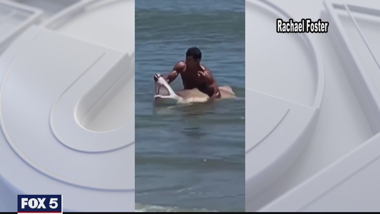 Shark handler caught on camera