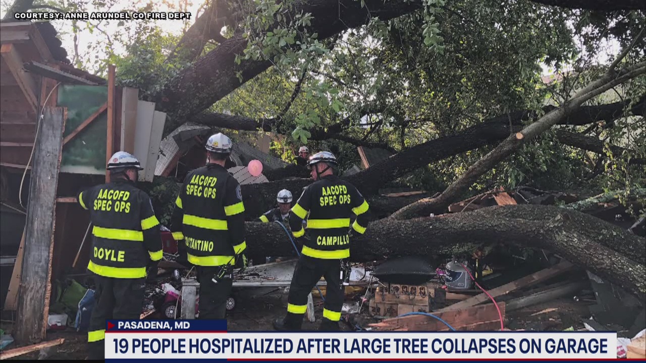 Tree crushes garage with over 20 inside in Anne Arundel County