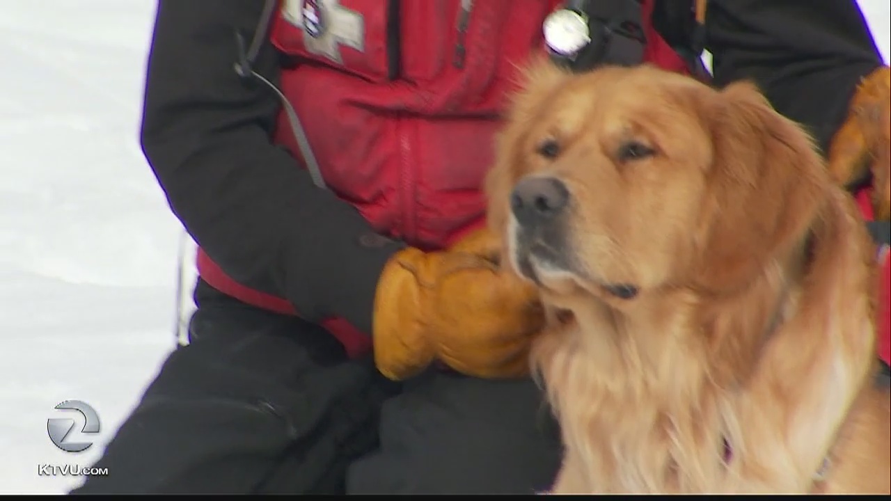 Ski patrol trains for avalanche rescue in California mountains