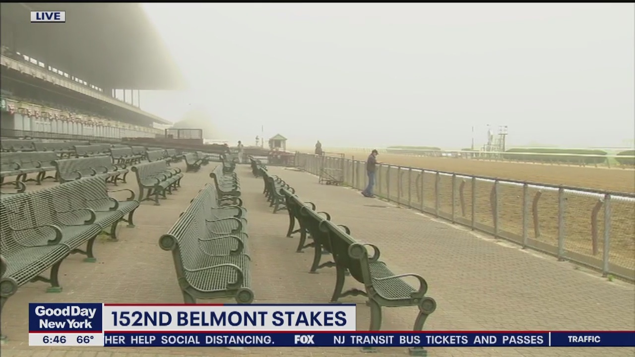 Belmont Stakes preparations