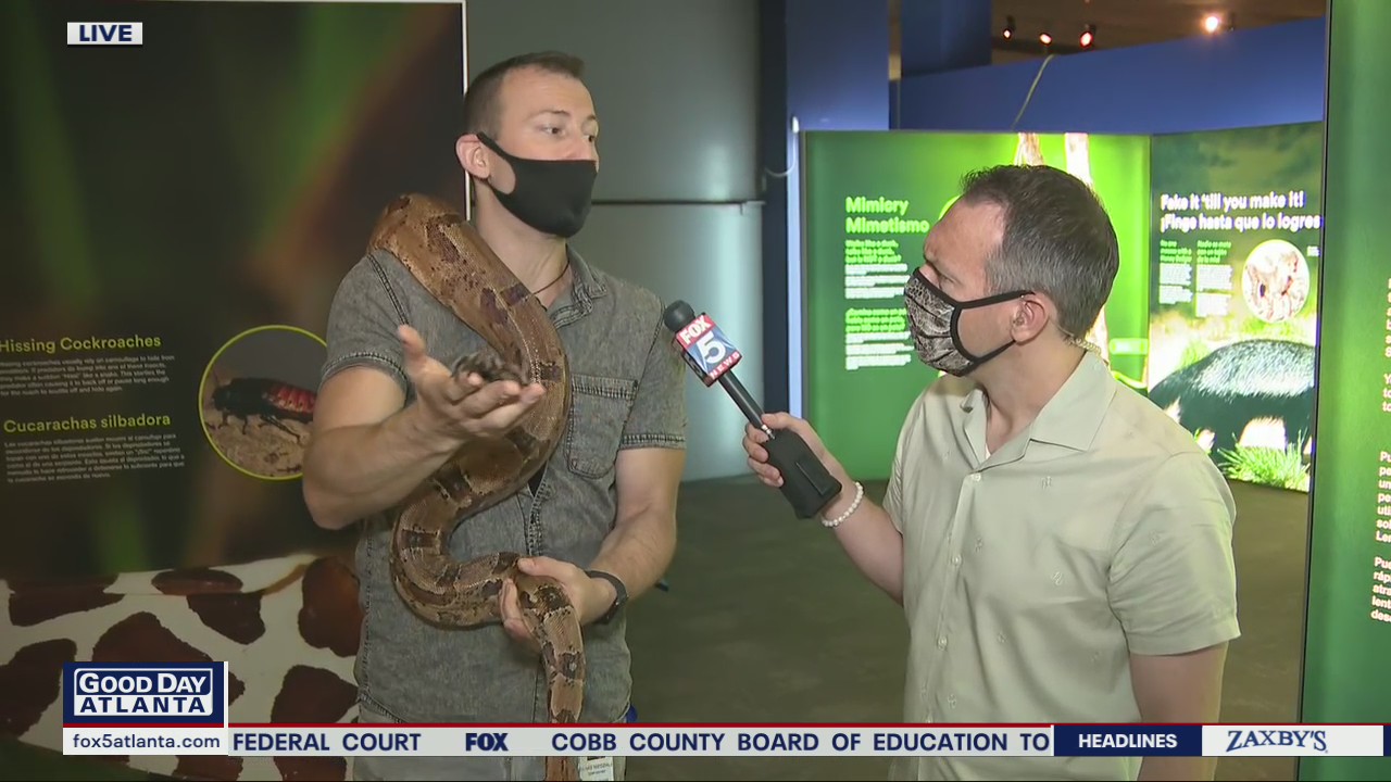Live animals headline summer exhibits at Fernbank