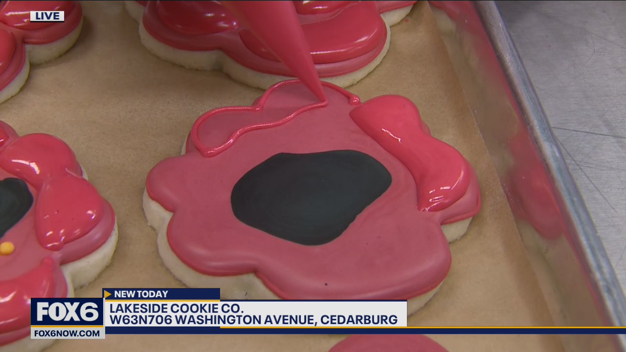 Have you ever seen a perfectly decorated cookie and wondered, how did they do that?