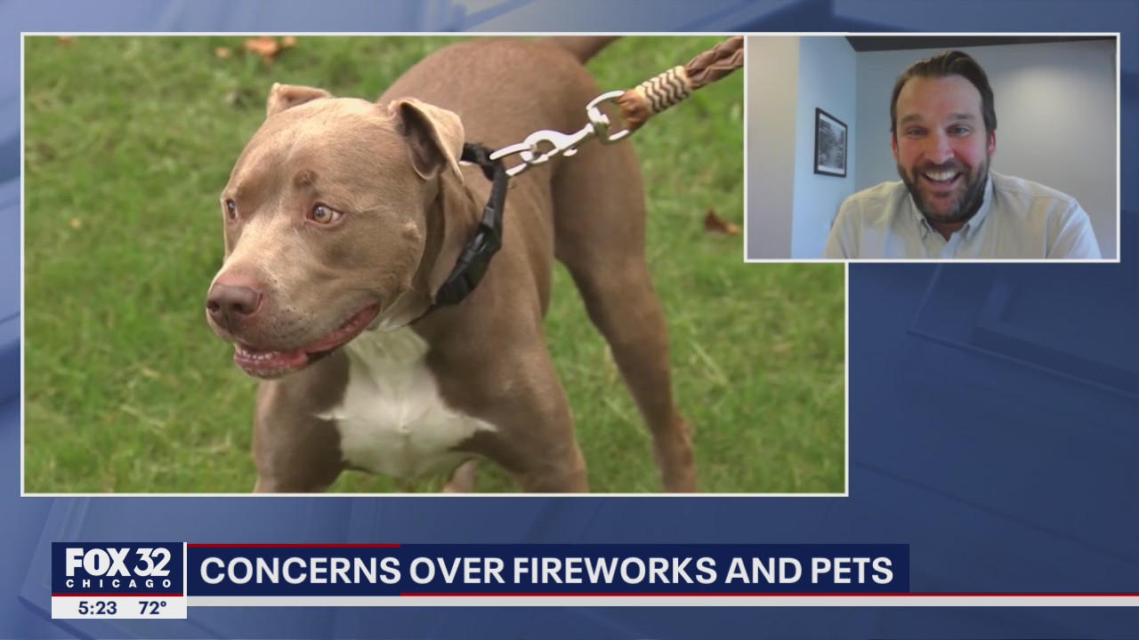 Fireworks are scaring pets