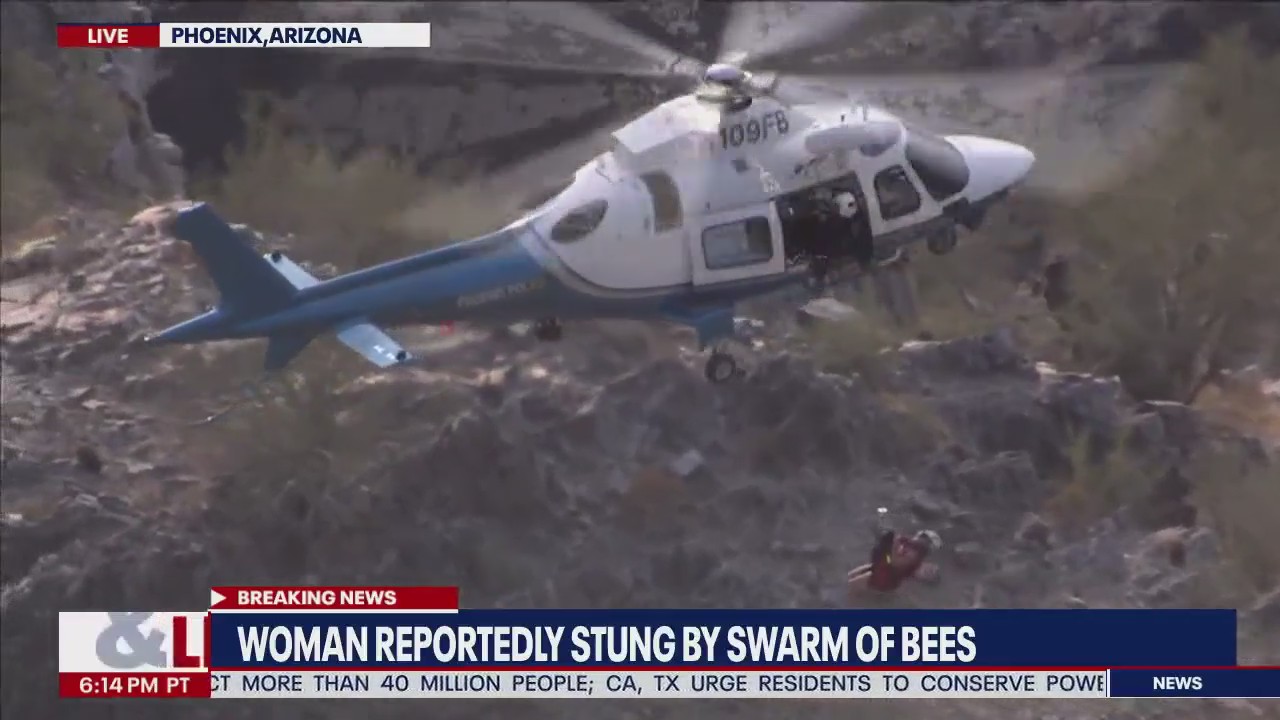 Bees sting female hiker on side of Phoenix mountain leading to rescue effort