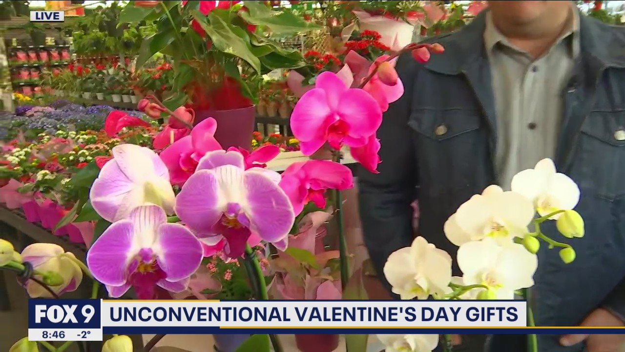 Unconventional Valentine’s Day Gifts that last longer than fresh cut flowers