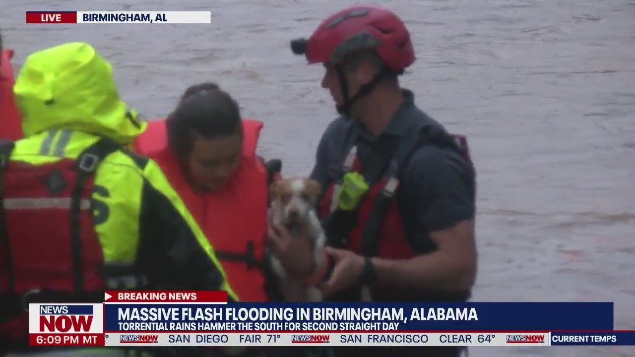 DOG RESCUES: Crews save dogs, people in massive Alabama flash flooding