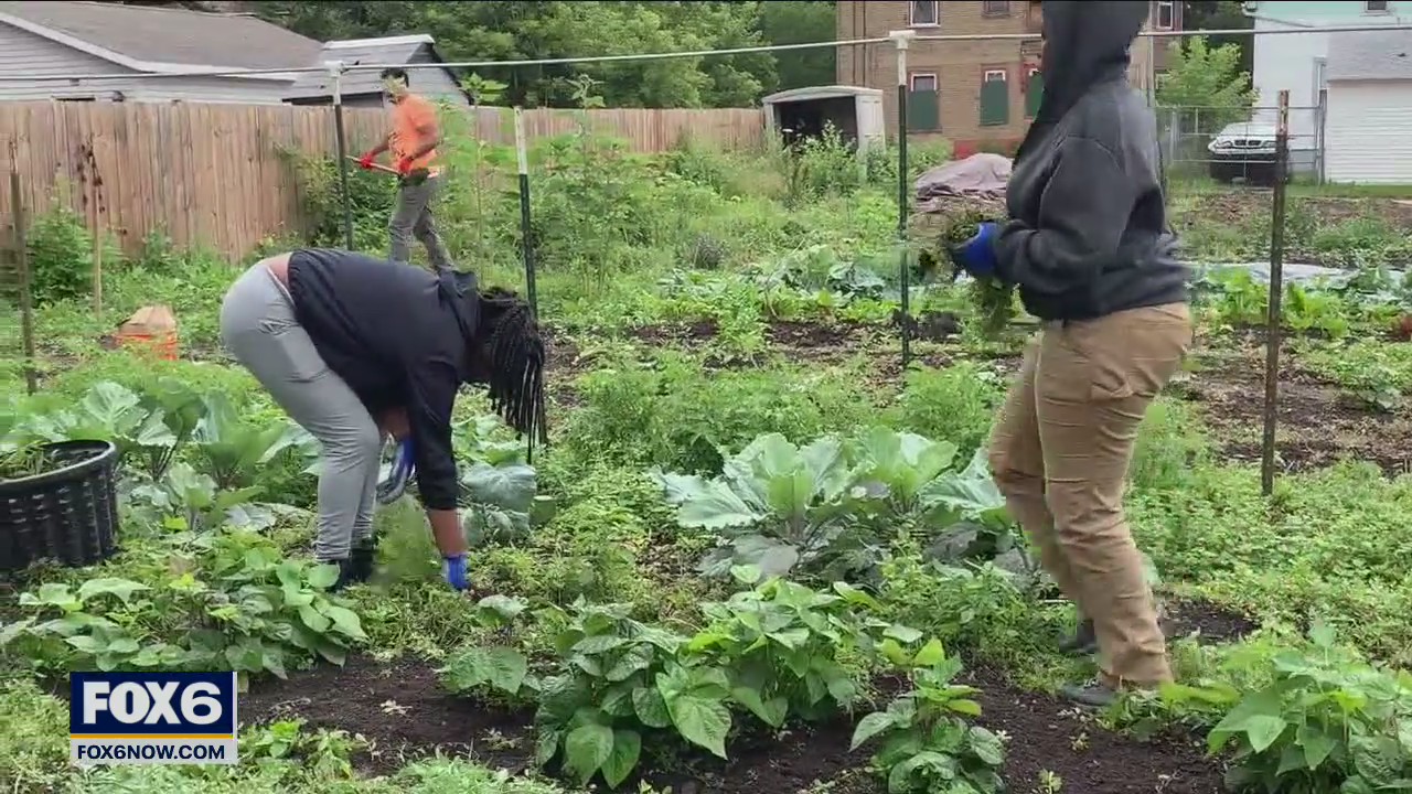 Local teens get an education in Urban Agriculture