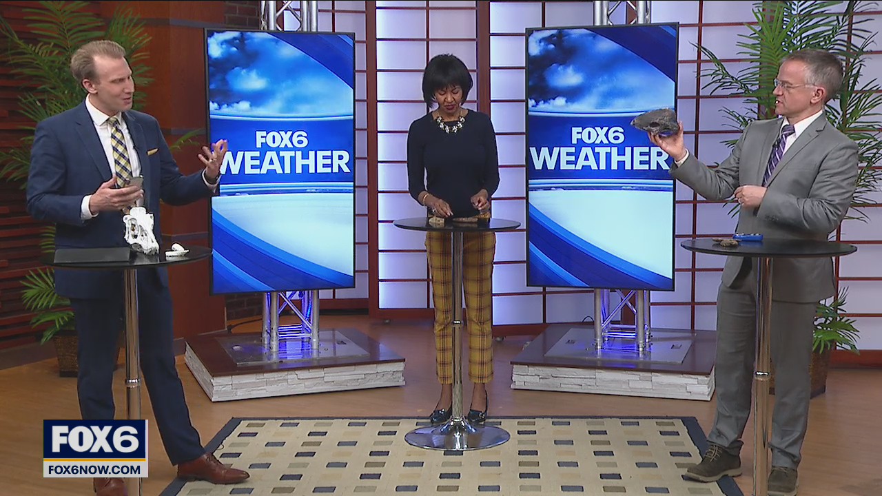 Dinosaur Discovery Museum in Kenosha