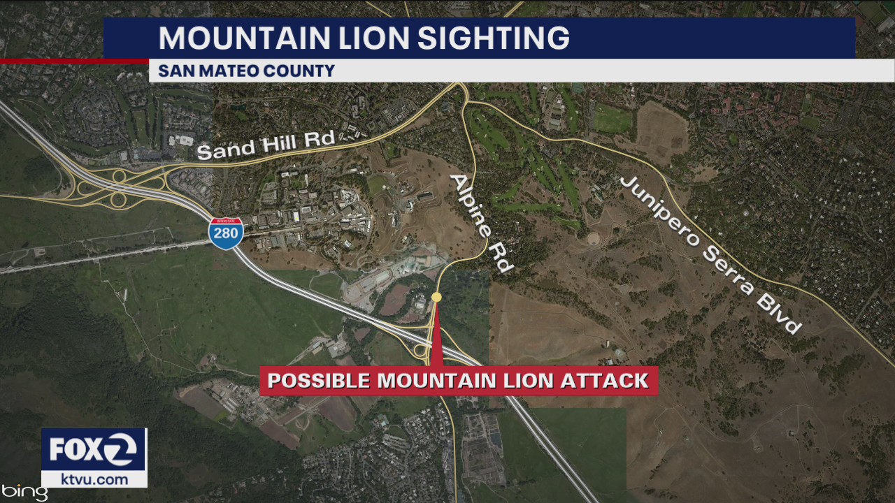 Possible mountain lion attack near Portola Valley