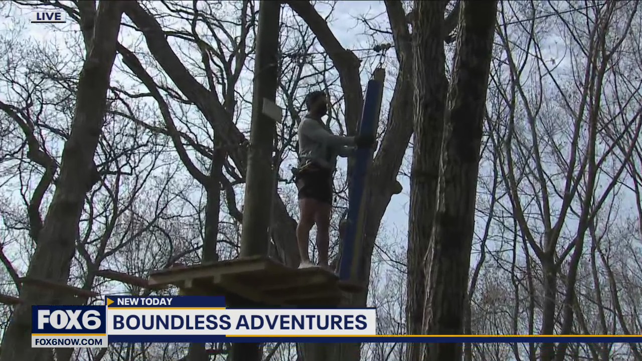 Unless you’re cutting one down, it’s not every day that you get to climb a tree