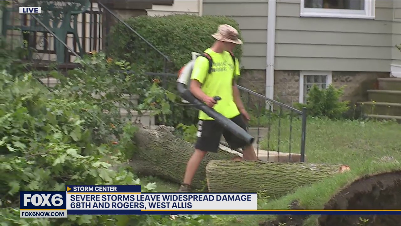 20+ trees uprooted in West Allis after severe storms Tuesday night