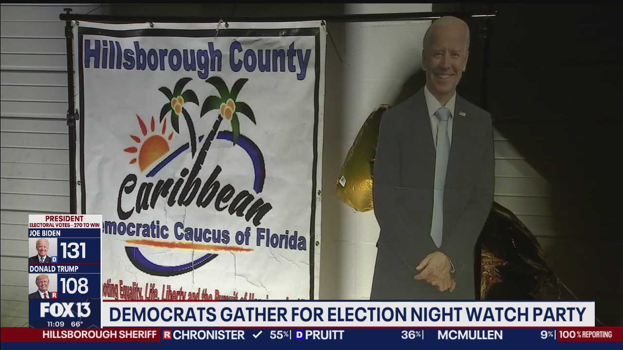 Despite wins in Tampa Bay counties, Democrats disappointed by Florida loss