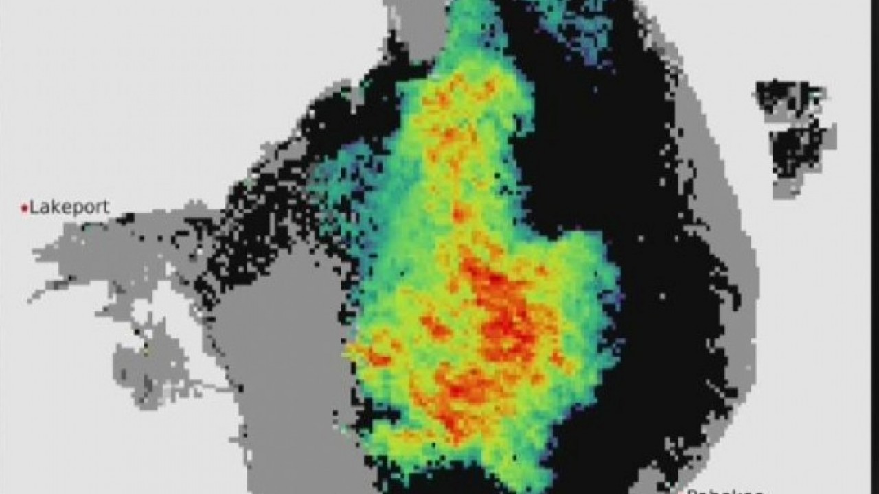 The large algae bloom at Lake Okeechobee
