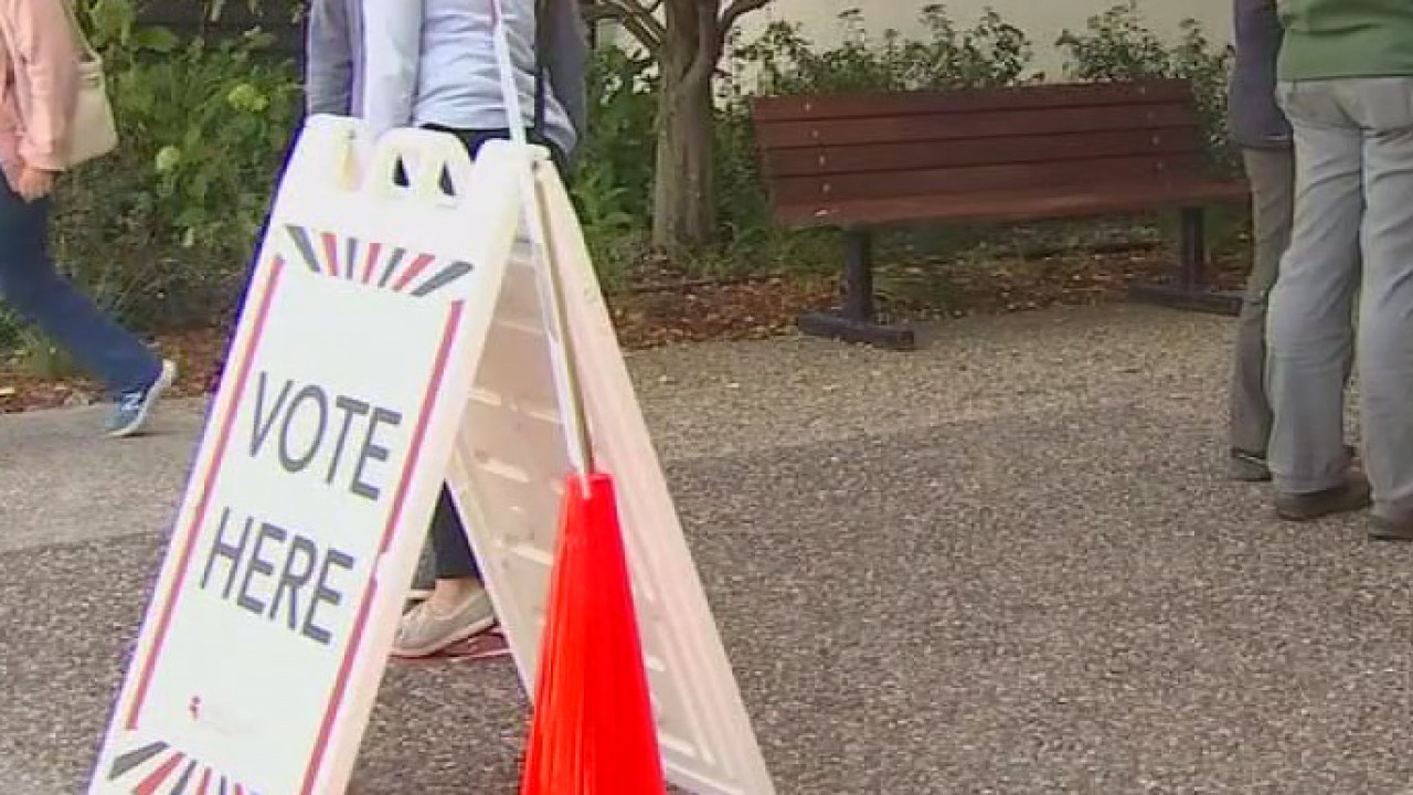 Early voting turnout in the 2020 general election