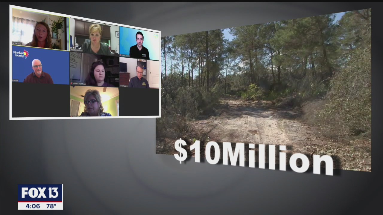 Pinellas County, Dunedin hope to buy undeveloped land