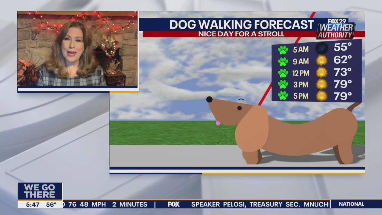 Weather Authority: Warm Wednesday with plenty of sunshine