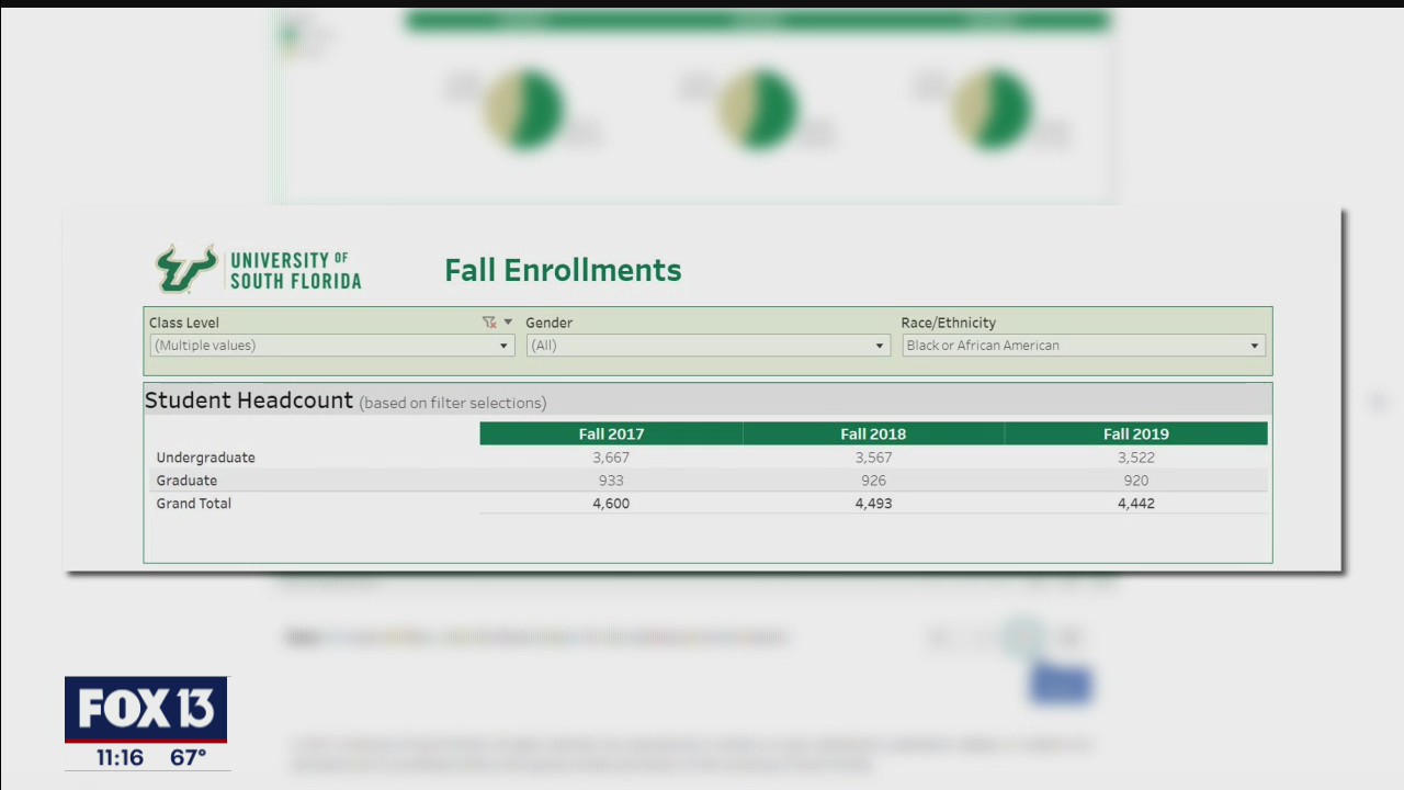 DARE dashboard rates equity, inclusion efforts at USF