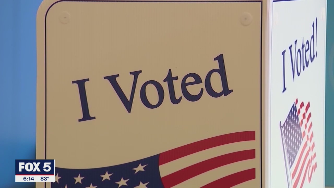 Georgia voting irregularities