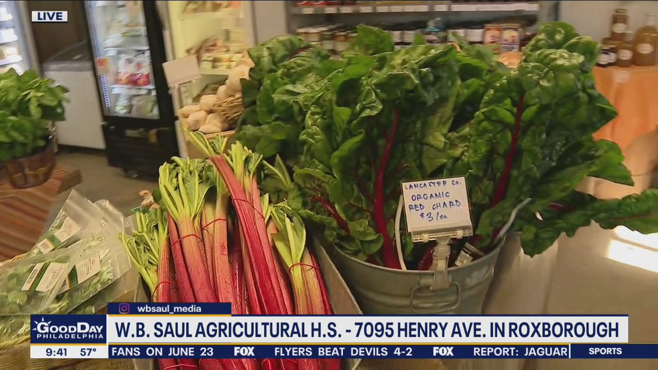 Weavers Way's Seasonal Farm Market opens Tuesday at Saul High School