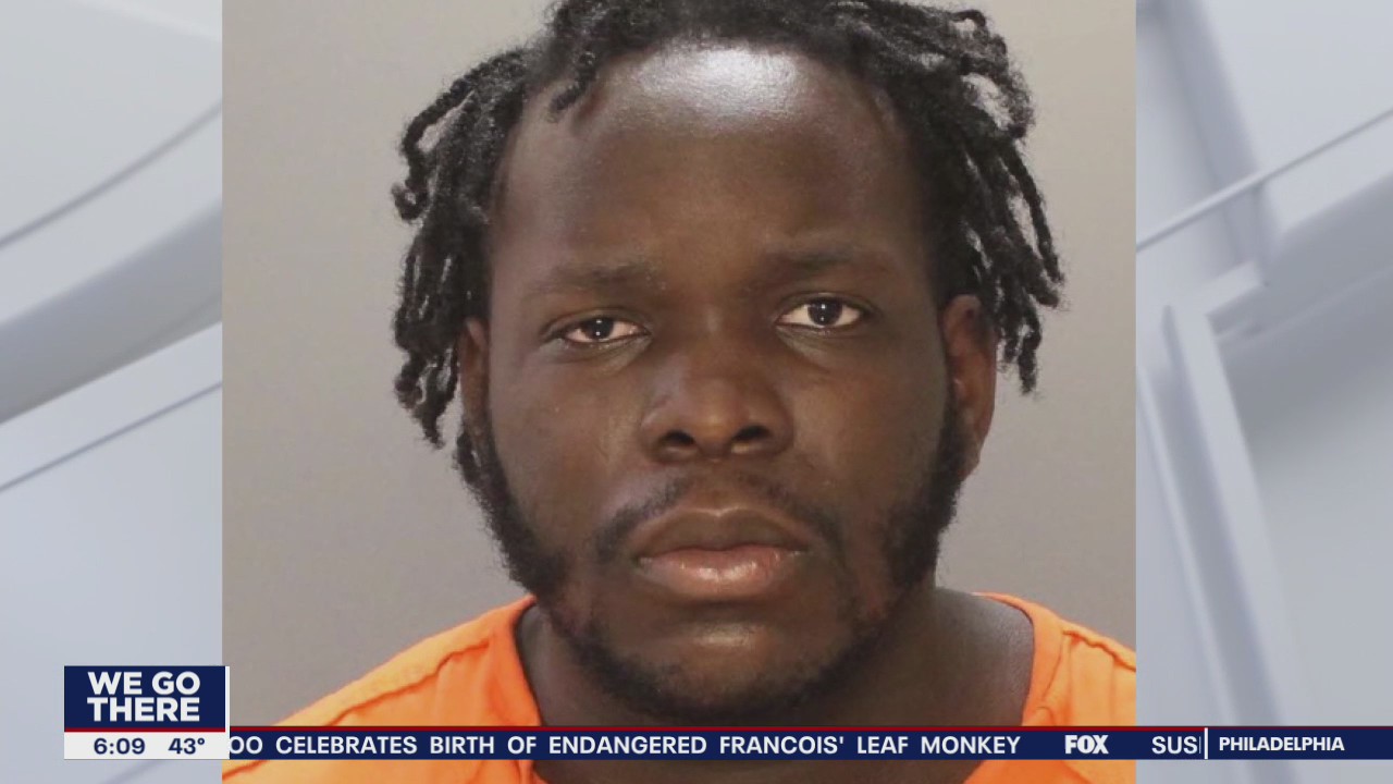 Suspect freed on reduced bail 2 weeks before Temple grad killed walking dog