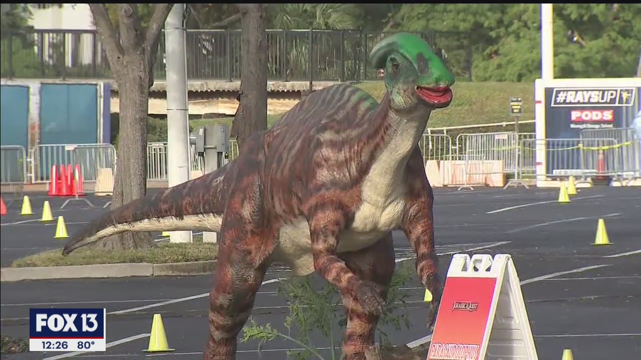 Dinosaurs at Tropicana Field