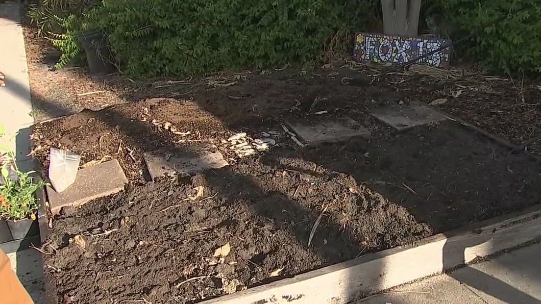 How to use fertilizer for your home garden