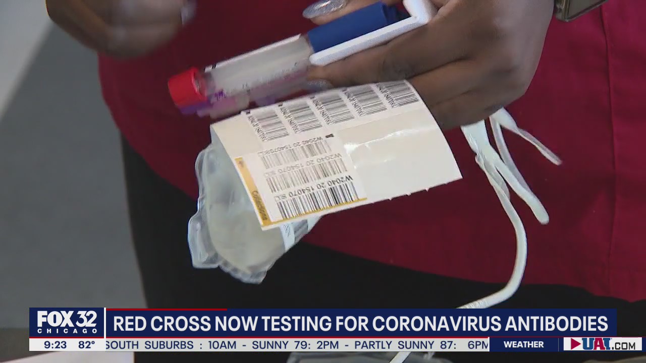 Red Cross begins testing for coronavirus antibodies