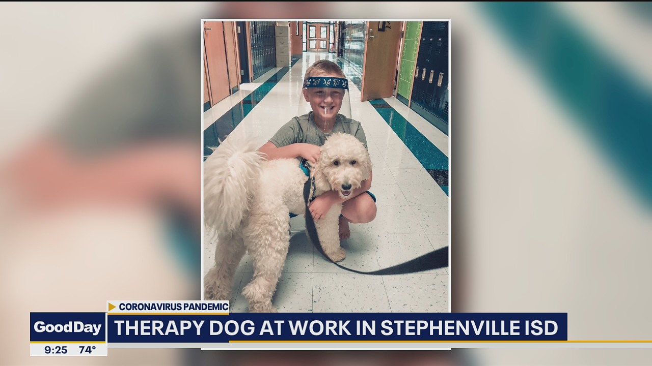 Therapy dog program at work in Stephenville ISD