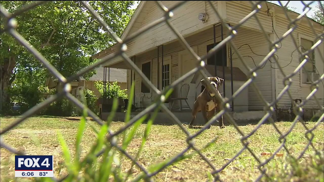 New Texas bill will set stricter rules for dogs left tied outside
