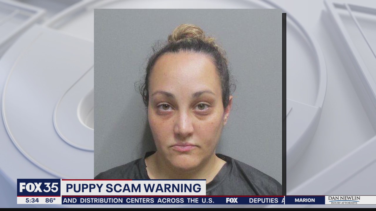 Puppy scam warning