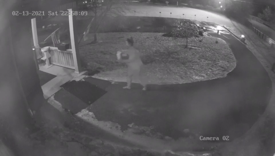 5 puppies die after being left outside in freezing temps