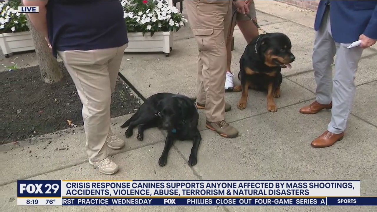 Crisis Response Canines return home after serving during aftermath of Surfside collapse