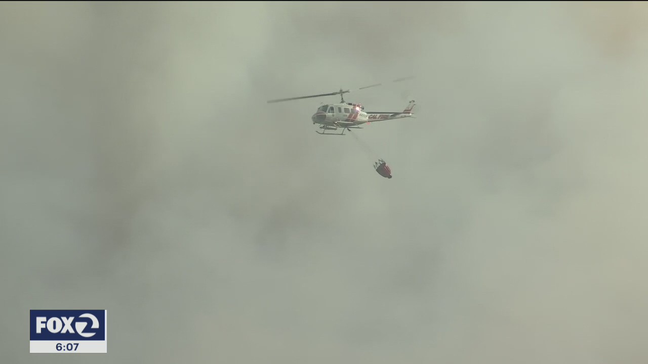 Repopulation underway near LNU Lighting Complex Fires