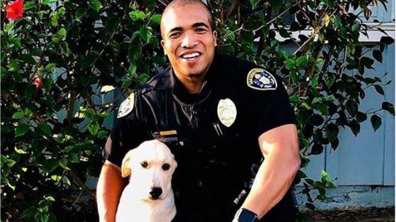 Police officer adopts dog he found in stolen car