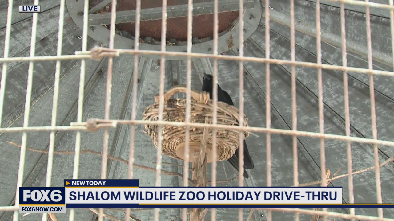 If you’ve never been to Shalom Wildlife Sanctuary in West Bend you’re definitely missing out