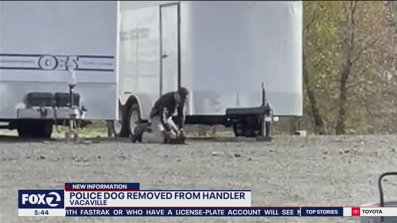 Police dog removed from handler