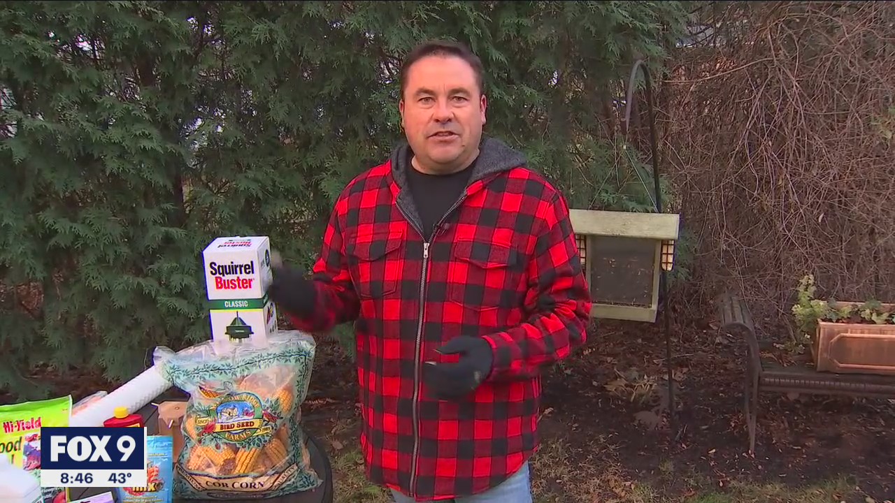 Outsmart the critters this winter - Ideas to protect your favorite plants & landscaping