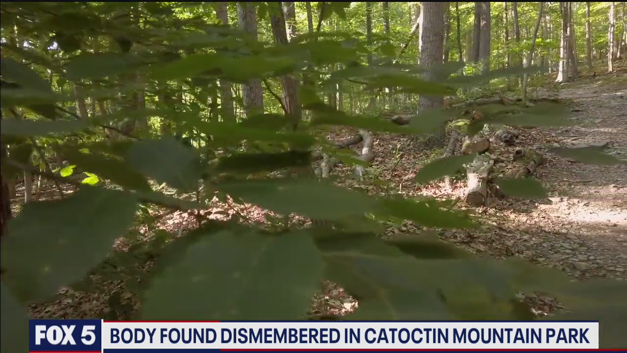Body found at Catoctin Mountain Park