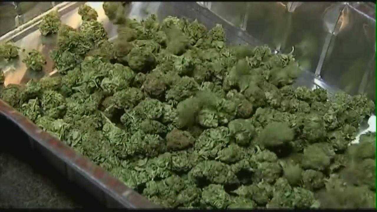 Questions raised by attorney for medical pot businesses in Warren