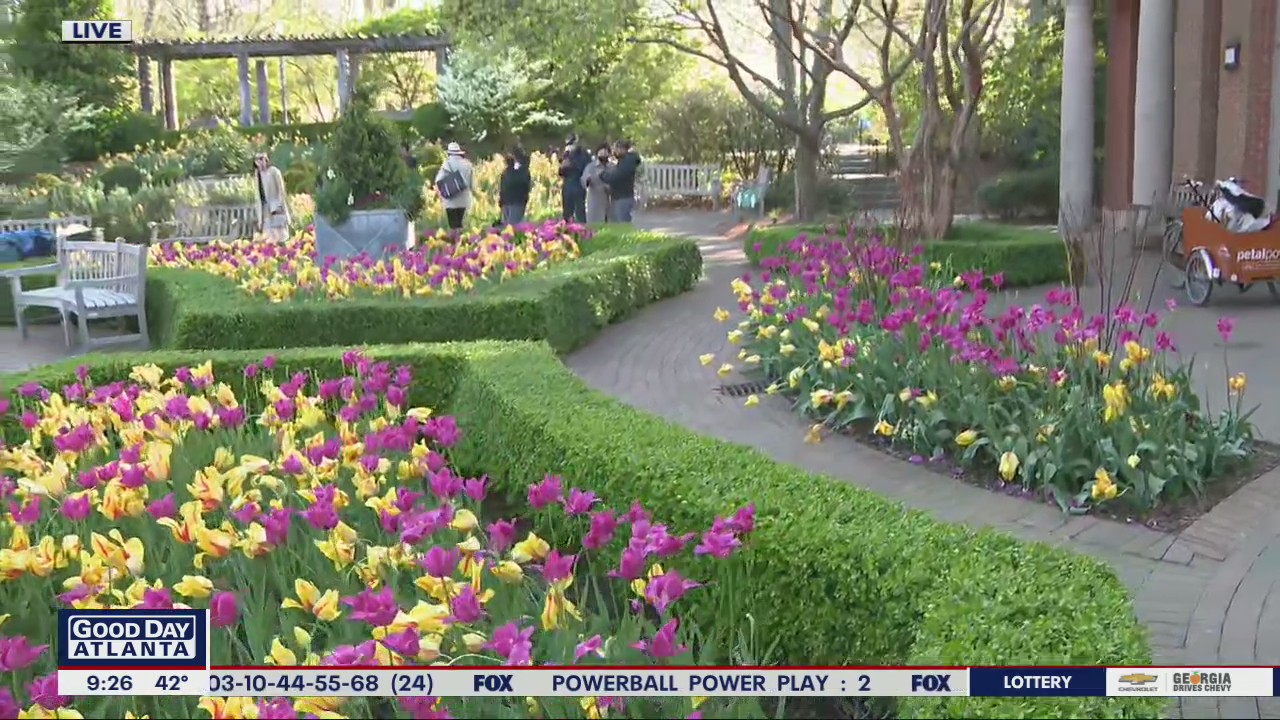 Spring Break blooms at Atlanta Botanical Garden