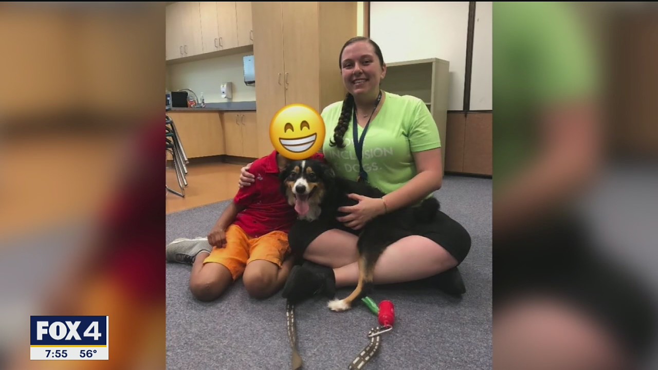 Tobi the two-legged dog finds new purpose inspiring children
