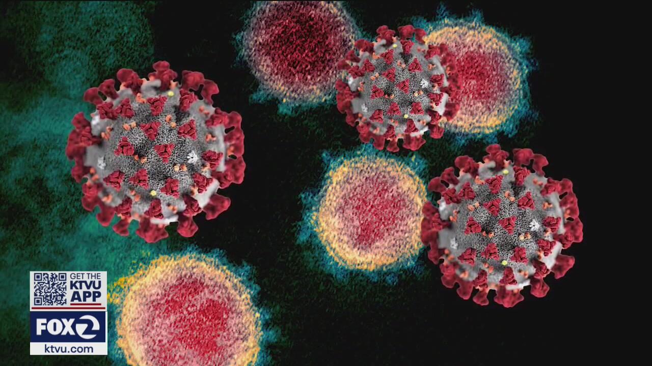 Concerns grow as Santa Clara County sees alarming increase in COVID-19 variants