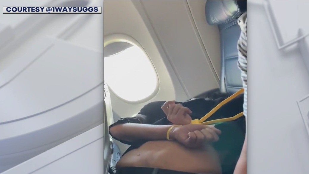 Man arrested after attempting to breach cockpit