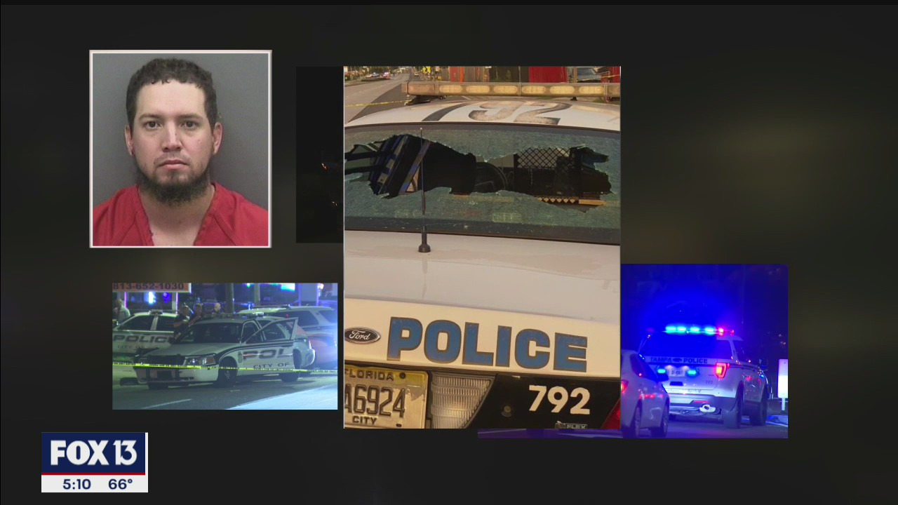 Second opinion after suspect's competency hearing