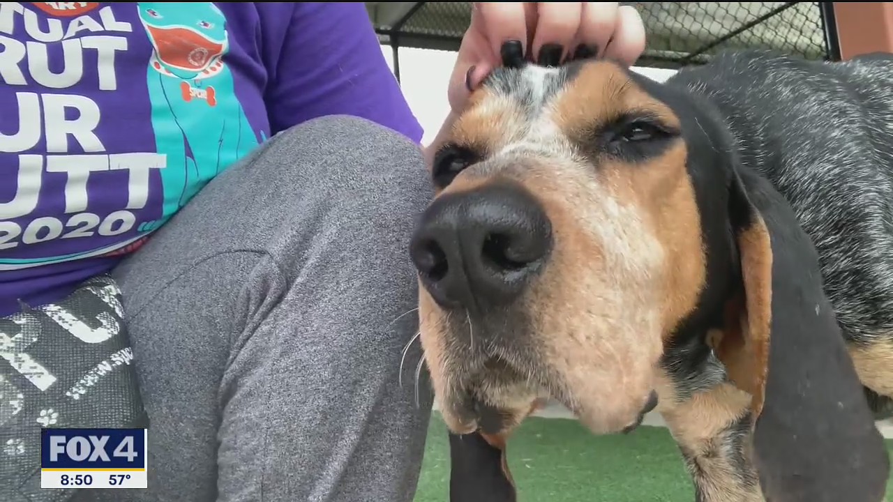 Dog of the Day: Jebediah