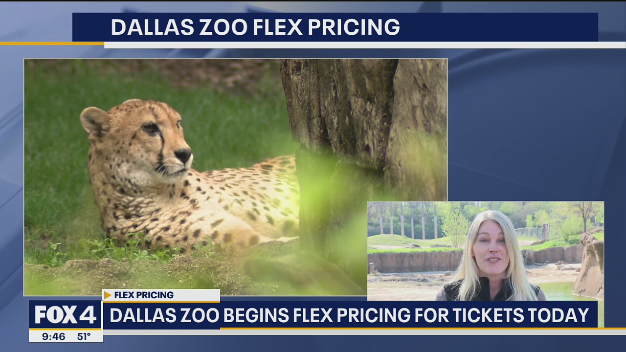 Dallas Zoo begins flex pricing for tickets