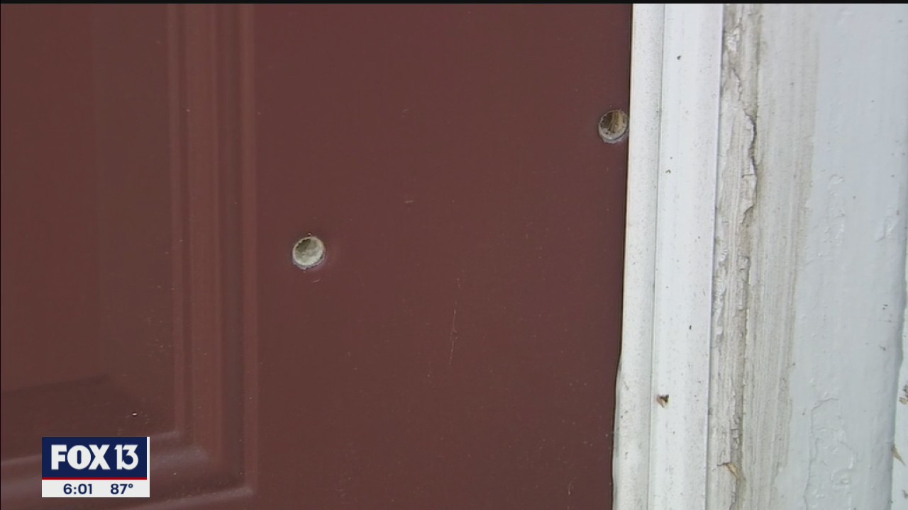 Stray bullet injures child in St. Petersburg