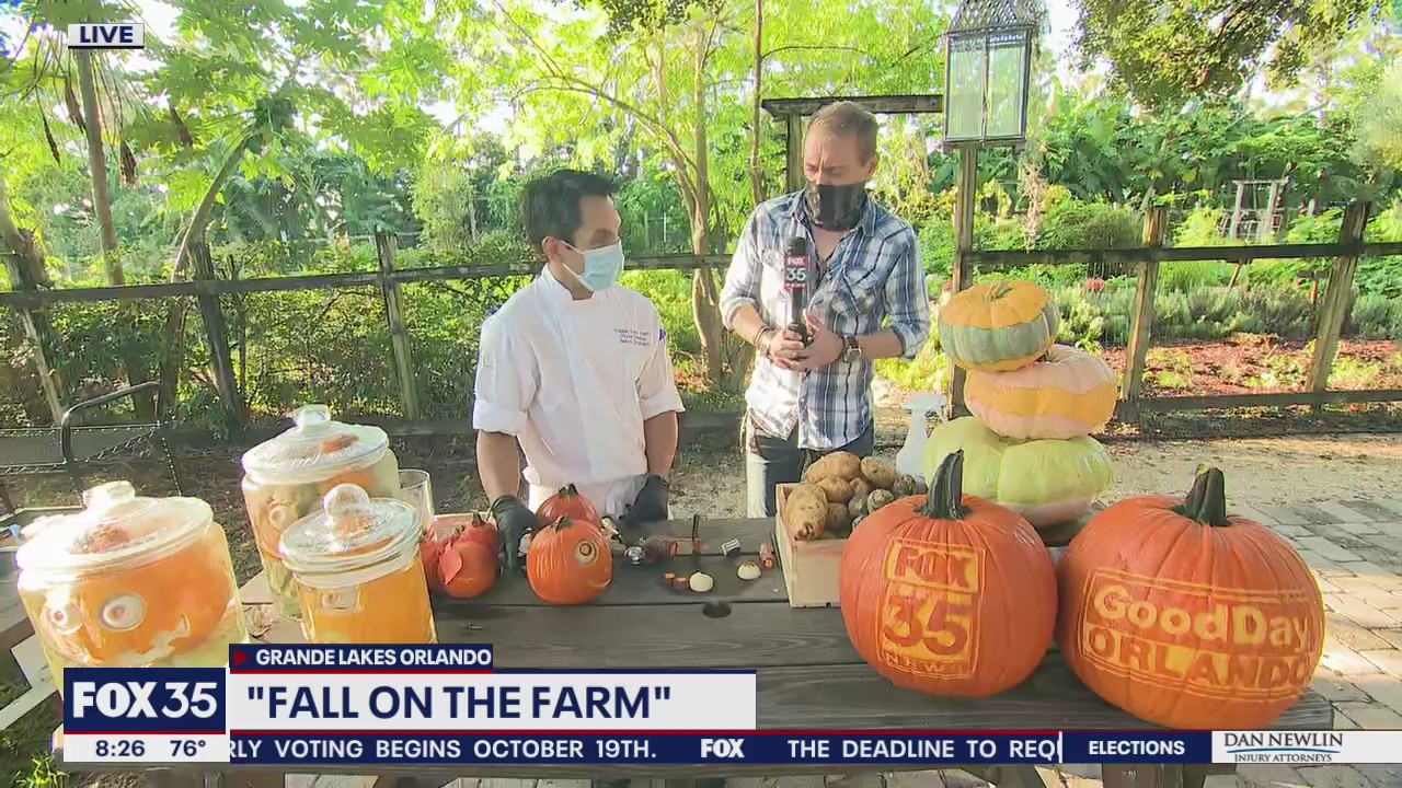 David Martin reports: Fall on the farm