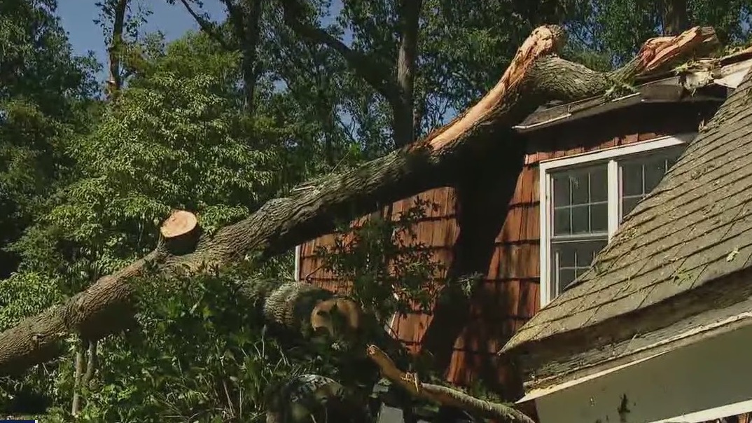 Long Island storm cleanup