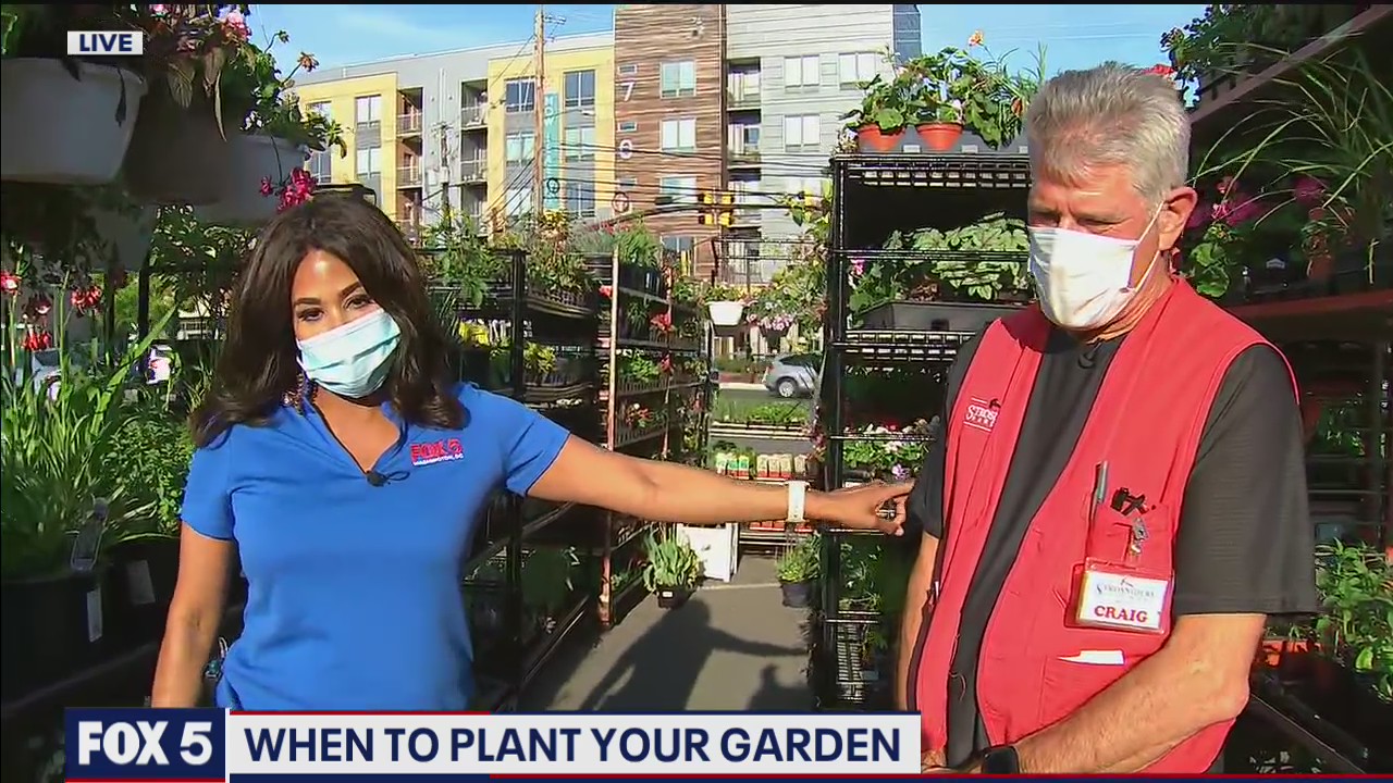 When to plant your garden